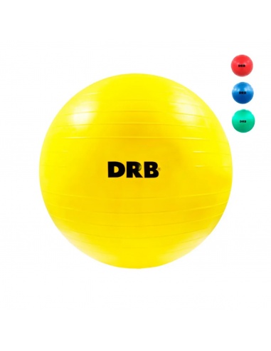 GYM BALL PELOTA ESFERODINAMIA DRB 55...