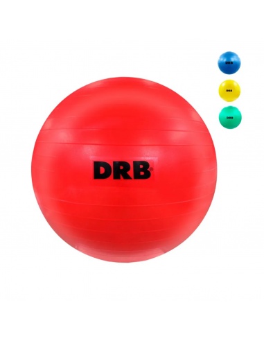 GYM BALL PELOTA ESFERODINAMIA DRB 55...