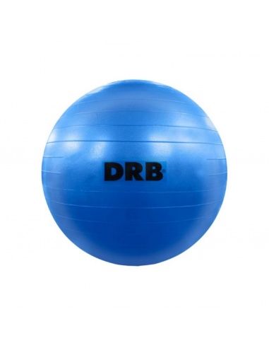 GYM BALL PELOTA ESFERODINAMIA DRB 65...