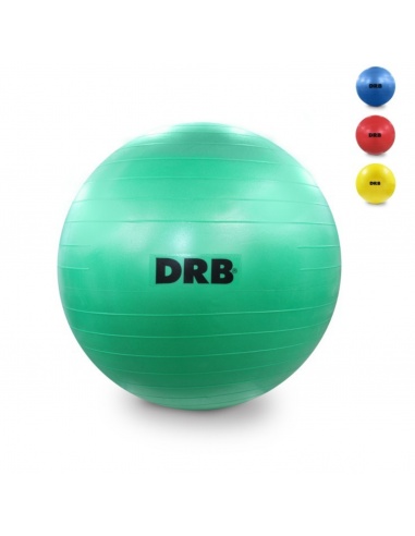 GYM BALL PELOTA ESFERODINAMIA DRB 65...